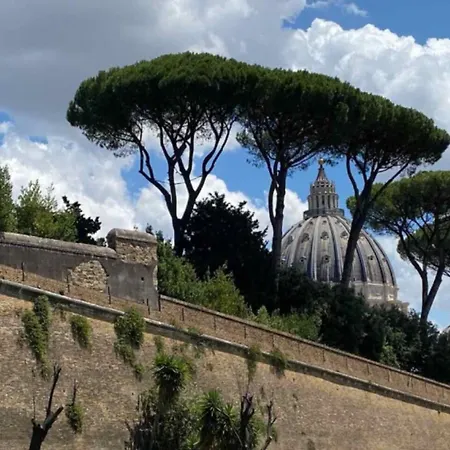 Vatican Malvi Domus-2